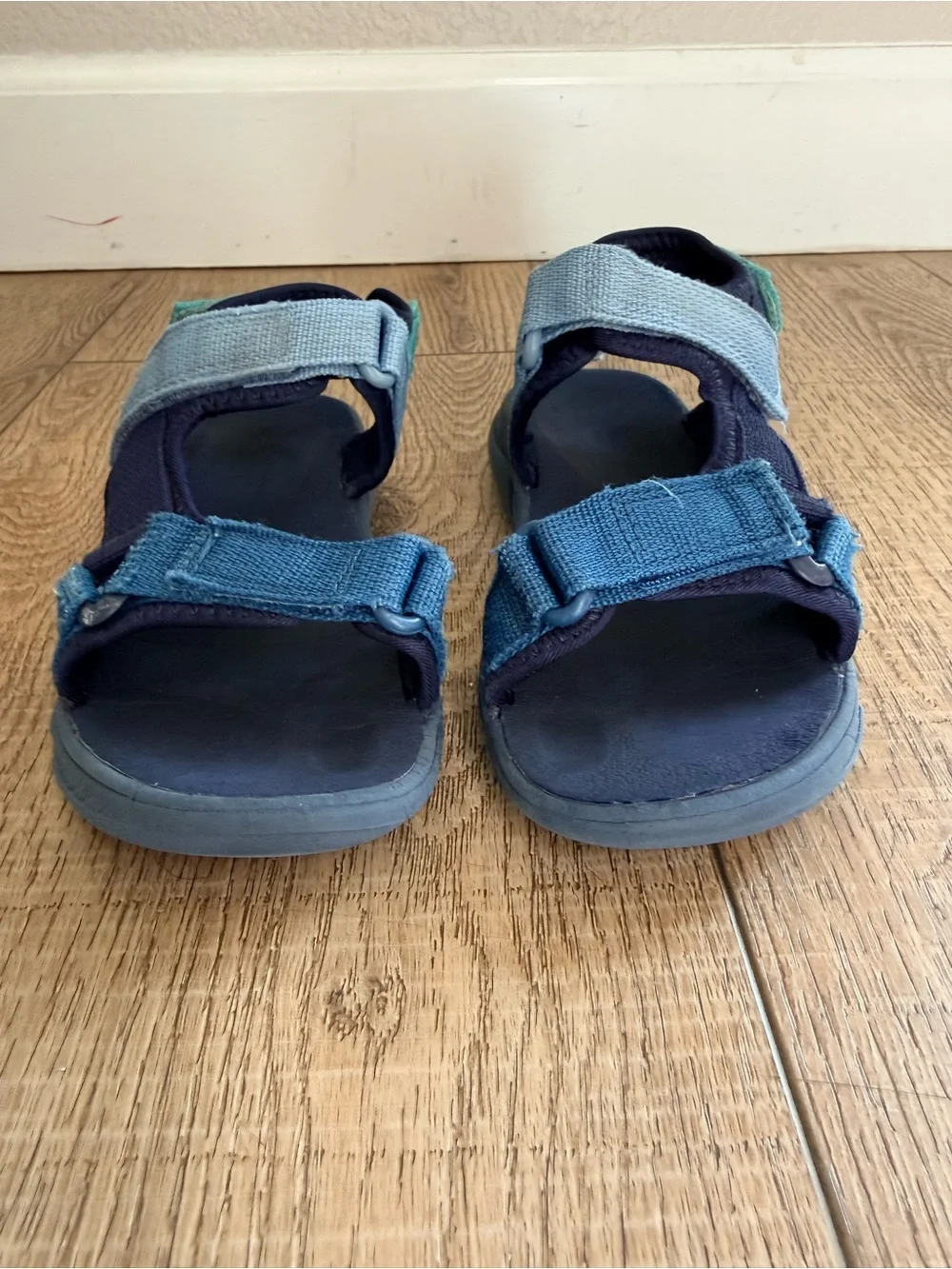 Cat & Jack size 13